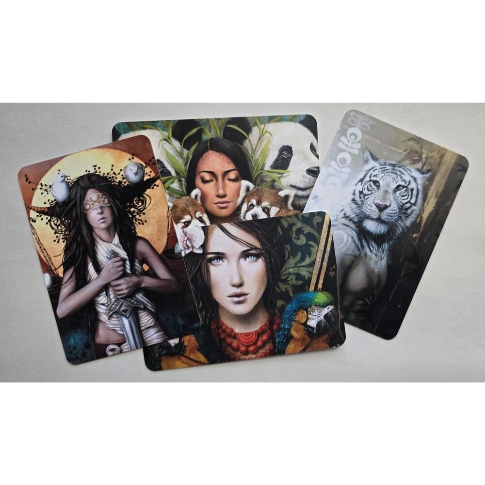 Medicine Heart Oracle Pocket Panda Edition Nature Animal Cards